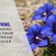 purple flowers in the ground with a banner that reads 'hello spring: landscaping around your clearstream wastewater system'